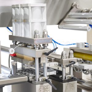 Blister Packaging Machine