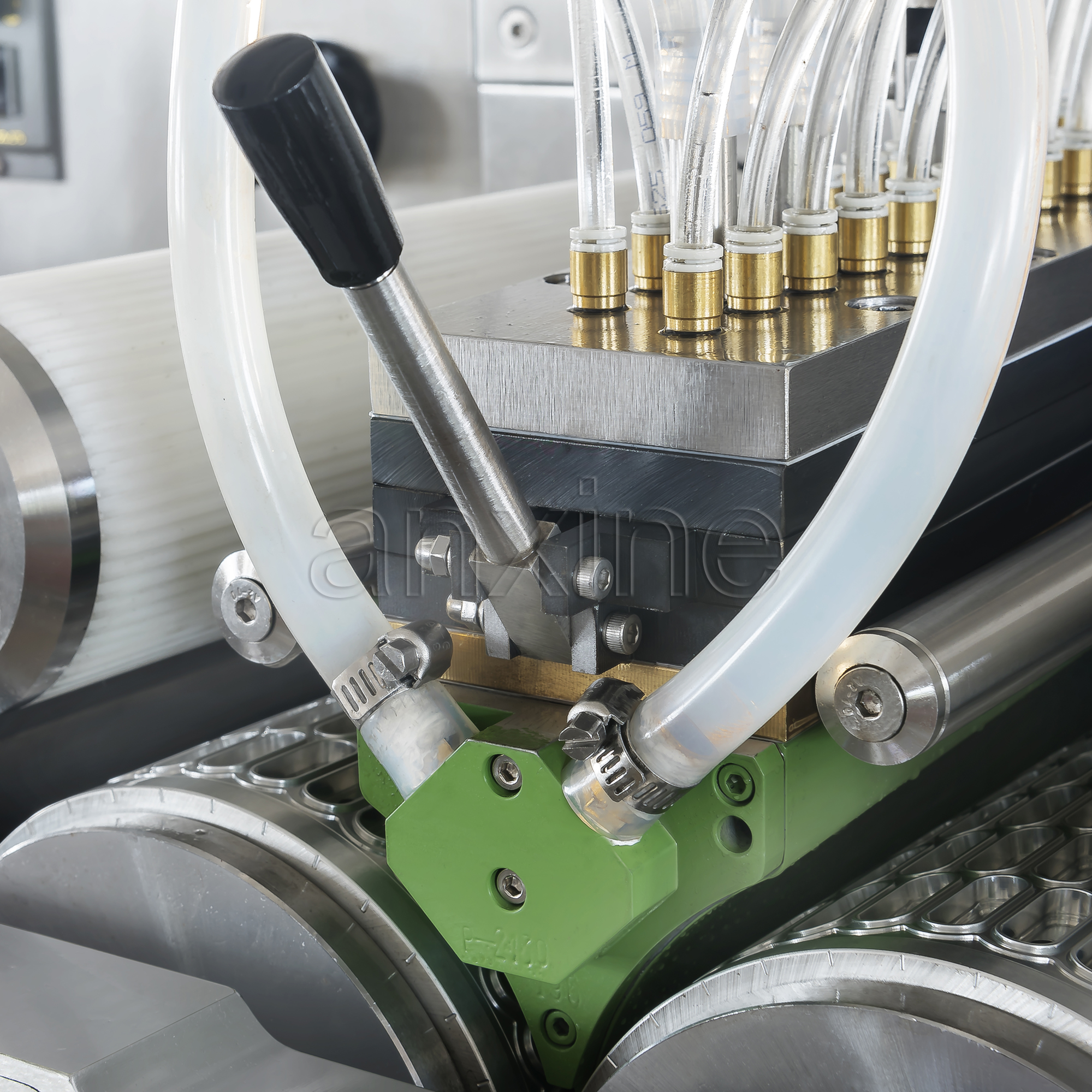 Softgel Encapsulation Machine | Fast & Steady - Anxine