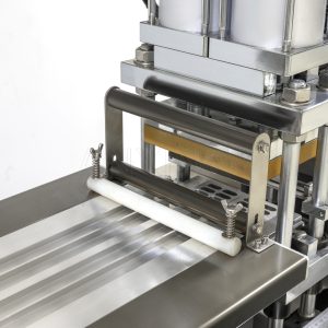 Automatic Blister Packaging Machine