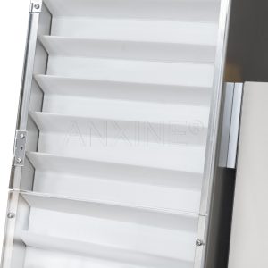 Incline Conveyor CZS-200